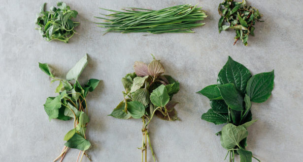 herbs for healing the flu
