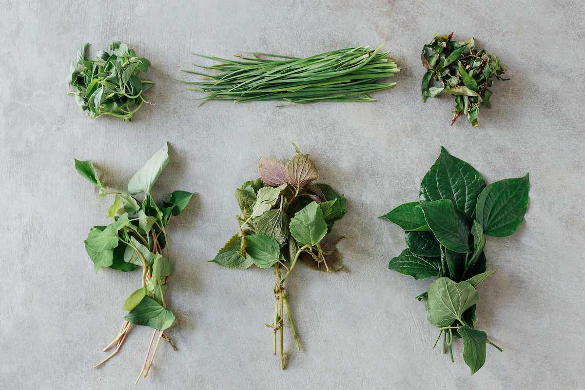 herbs for healing the flu