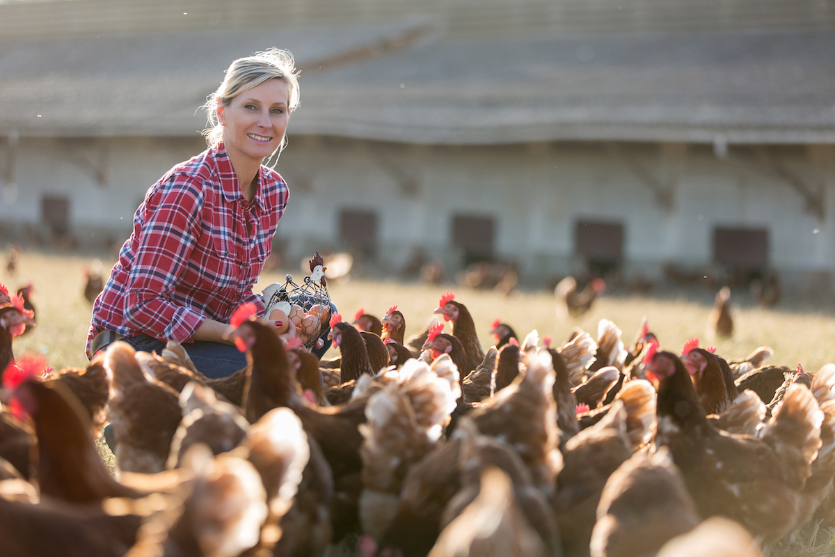 Exploring The Relationship Between Food & Climate Change