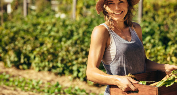 Exploring The Relationship Between Food & Climate Change