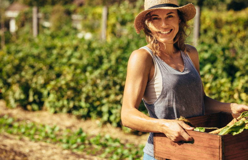 Exploring The Relationship Between Food & Climate Change