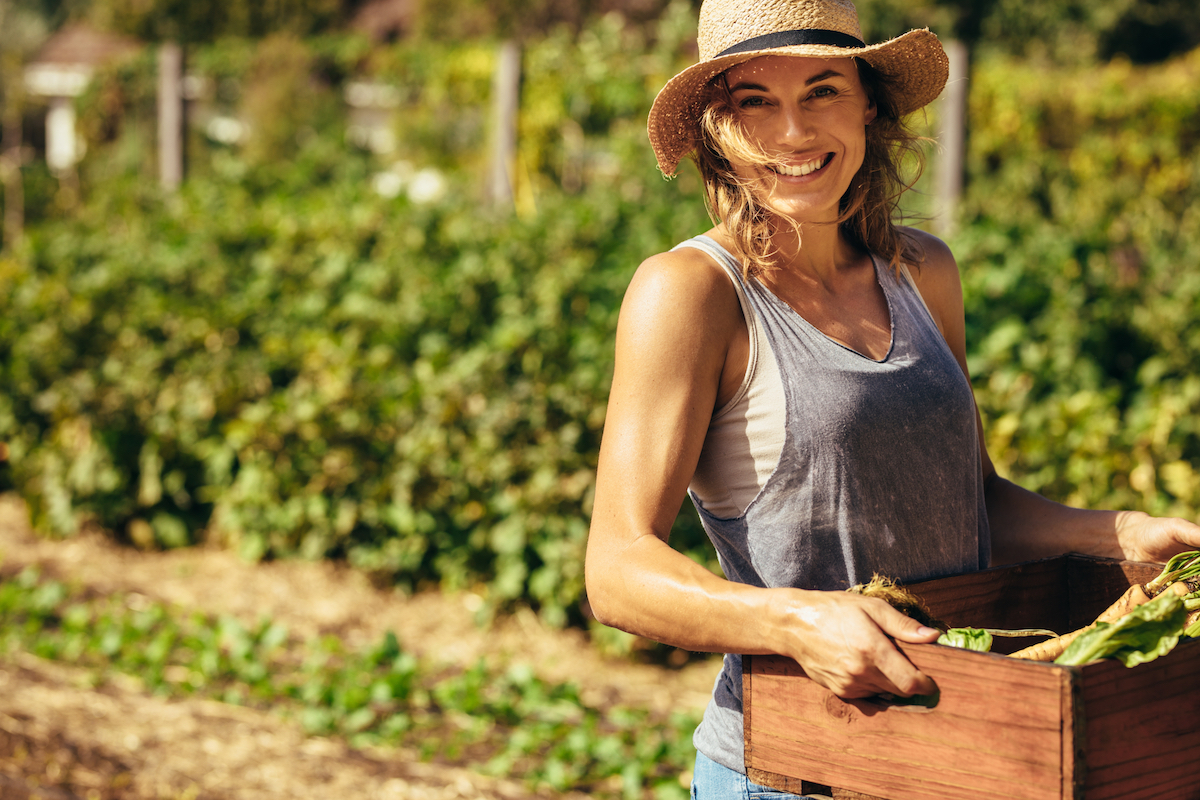 Exploring The Relationship Between Food & Climate Change