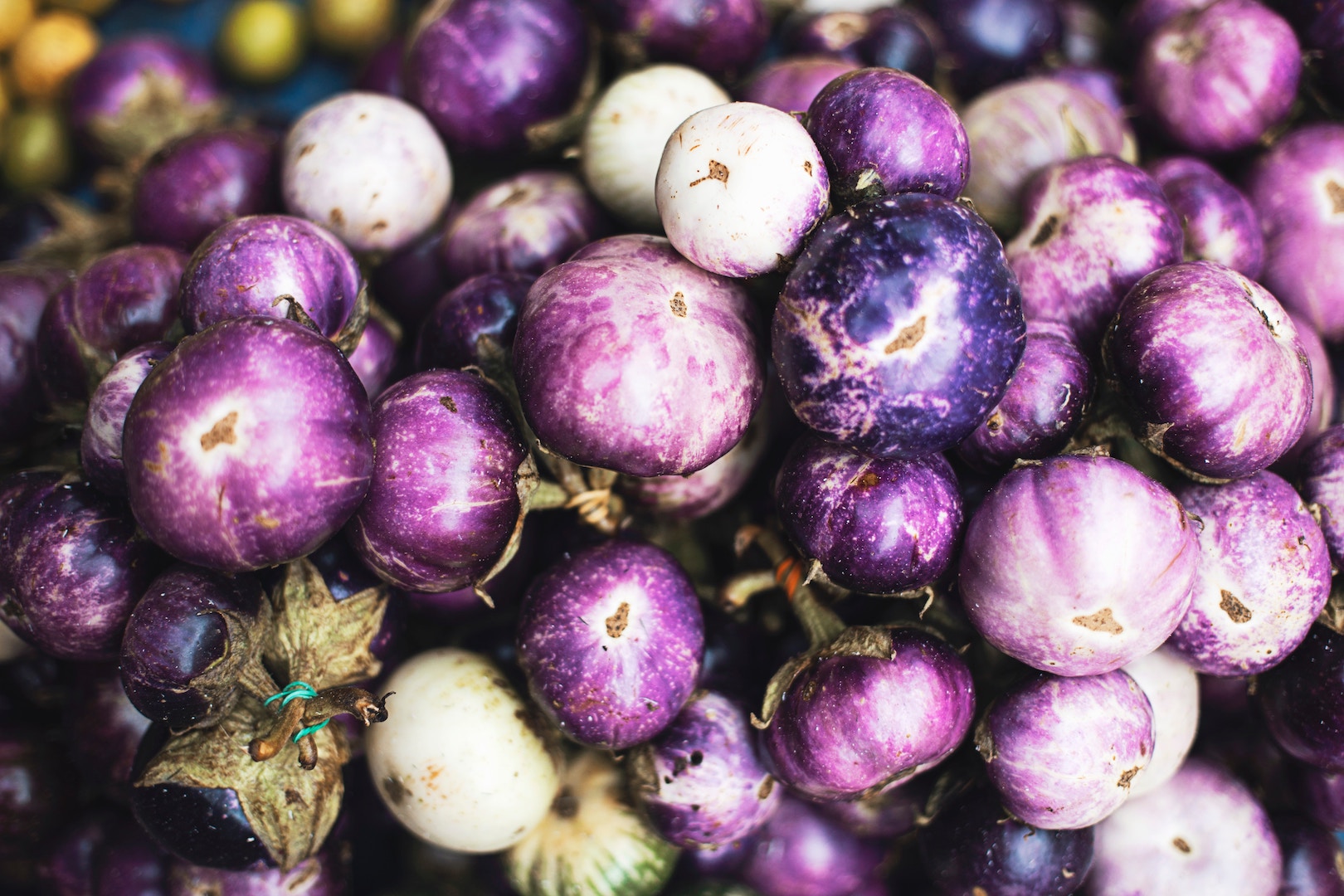 organic food