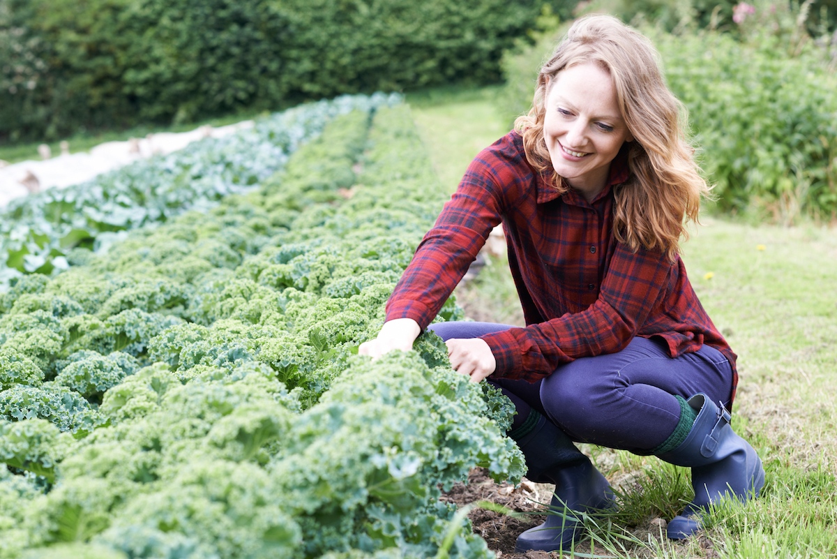 The Food We Eat, Part Two
