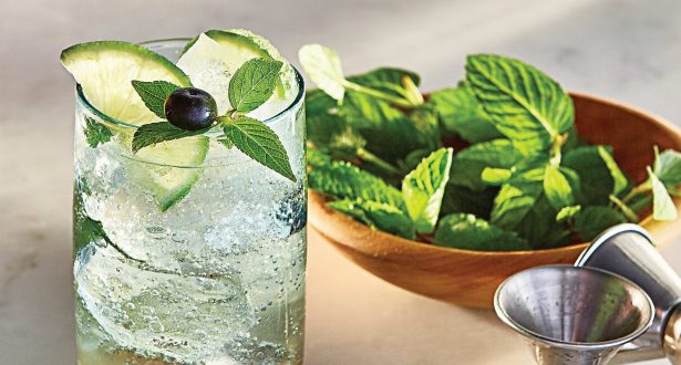 blueberry mojito