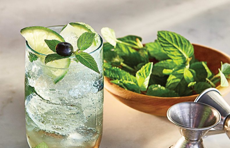 blueberry mojito