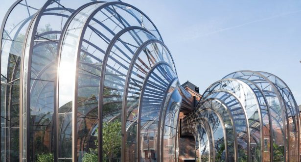 Bombay Sapphire greenhouses