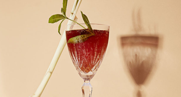chaga iced tea