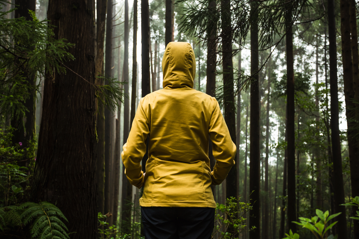 How To Shift from Codependency