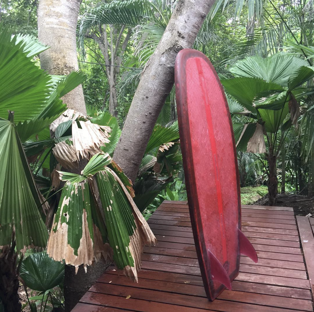 how to buy eco-surf boards
