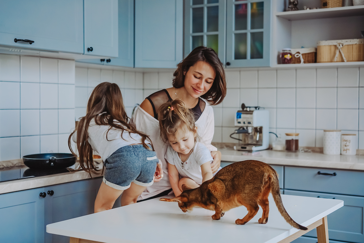 Healthy Family Series, Part 3: Is Mine For-GIVING?