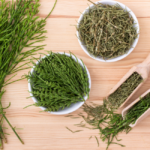 Top Benefits of Horsetail In Beauty