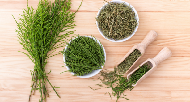 Top Benefits of Horsetail In Beauty