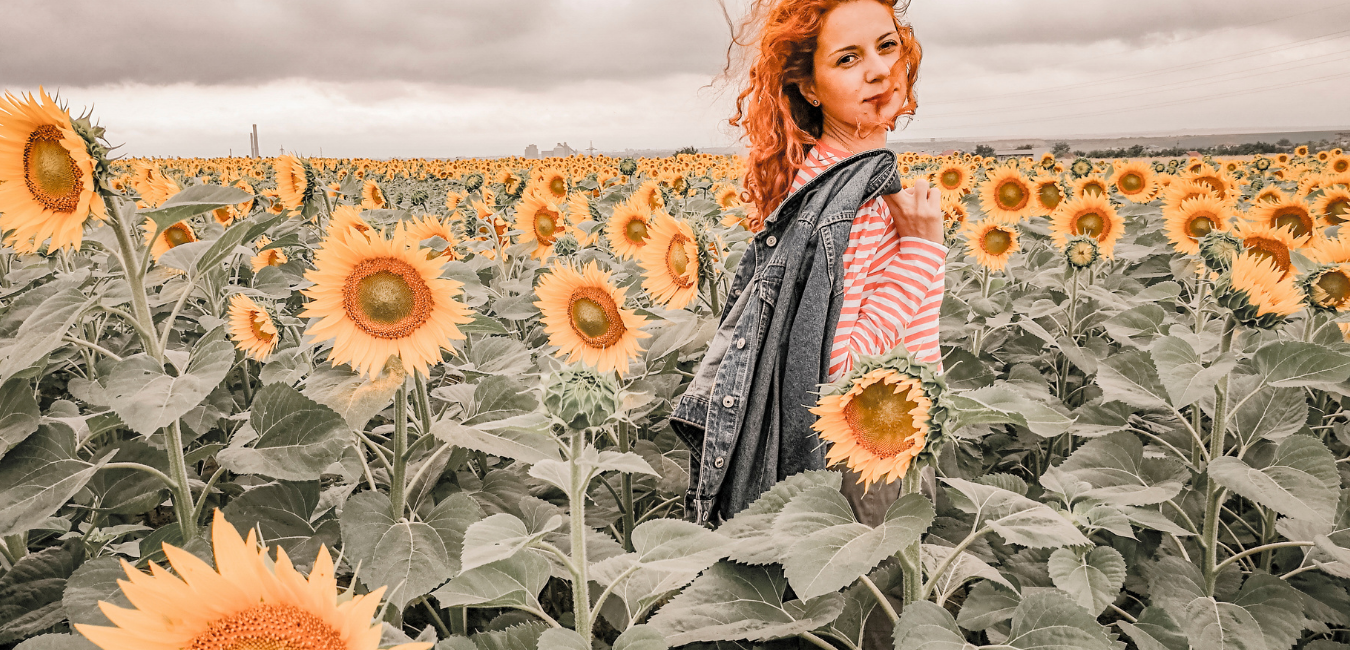 Top Benefits Of Sunflower Oil For Radiant Skin! CLEARlife