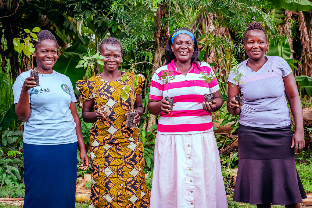 Four women holding plants in Kakamega, Kenya.